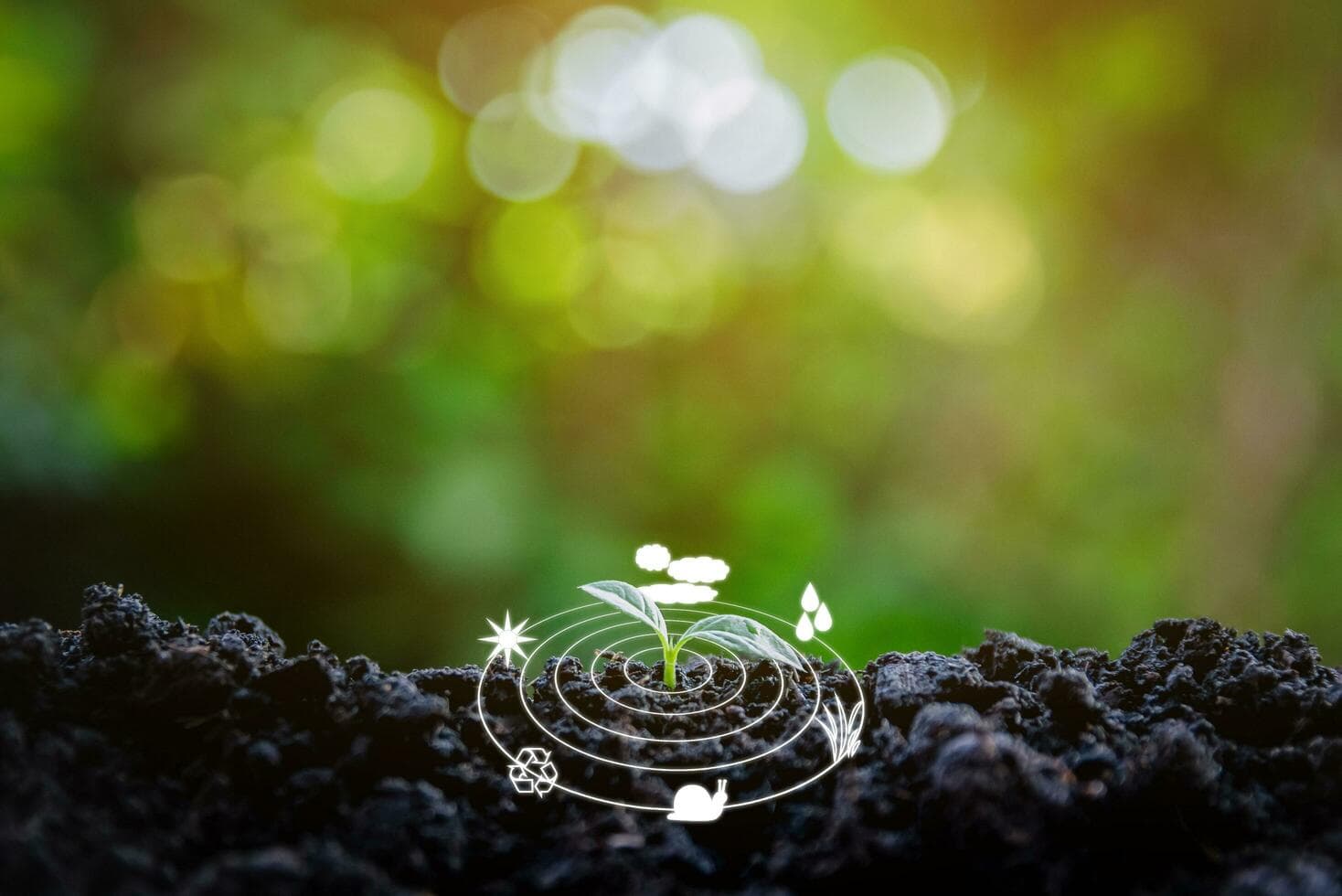 Free Organic Superfood Sample